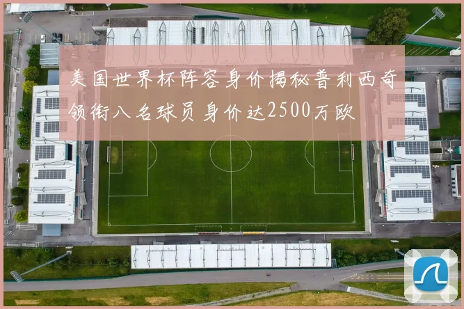 美国世界杯阵容身价揭秘普利西奇领衔八名球员身价达2500万欧