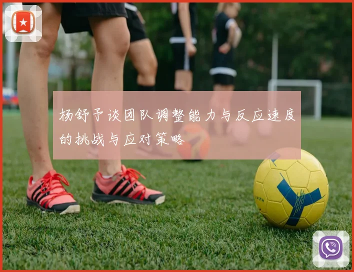 杨舒予谈团队调整能力与反应速度的挑战与应对策略
